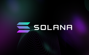 Solana Blockchain Review